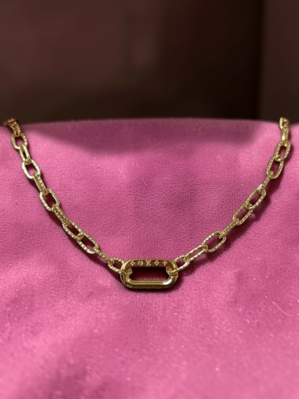 Louis Vuitton Gold Upcycled Purse ChaiinNecklace